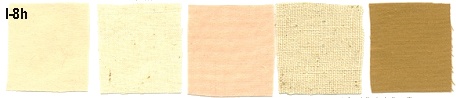 Image 8h