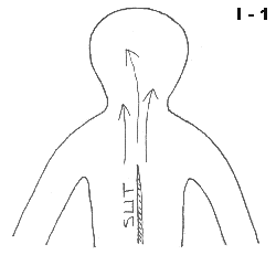 Description: Image 1