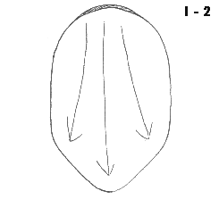 Description: Image 2