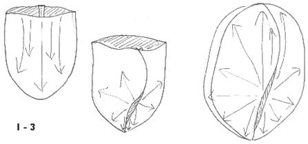 Description: Image 3