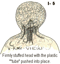 Description: Image 5