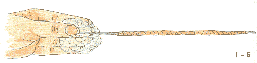 Description: Image 6