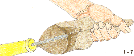 Description: Image 7