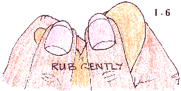 Description: Image 6