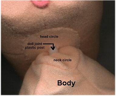 Neck Joint